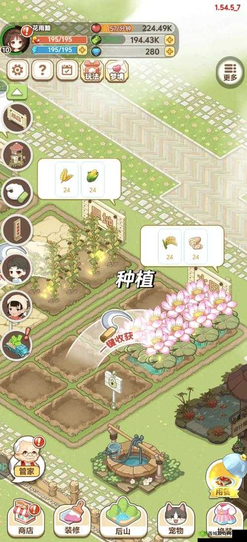 小森生活,探索与烹饪的田园诗篇