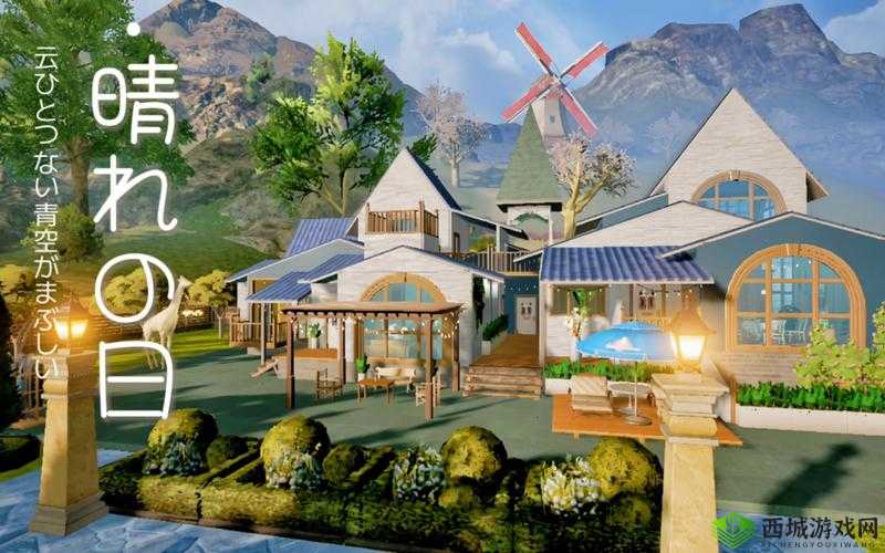 黎明觉醒,探索野外生态,邂逅小猫咪的温馨瞬间