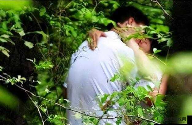 城市情侣打野好去处:浪漫与激情的完美结合