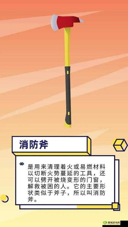 放学后的体育器材:它们的故事与对学生们的重要意义