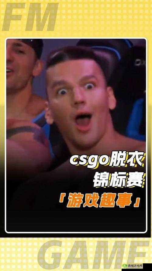 俄罗斯卖 csgo 的网站免费进入:带你探索神秘游戏交易世界