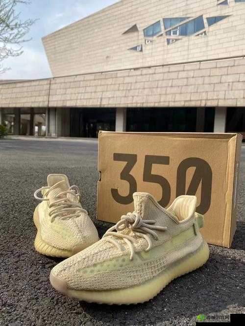 Yeezy 亚洲限定美洲限定:时尚潮鞋的魅力碰撞与独特风采