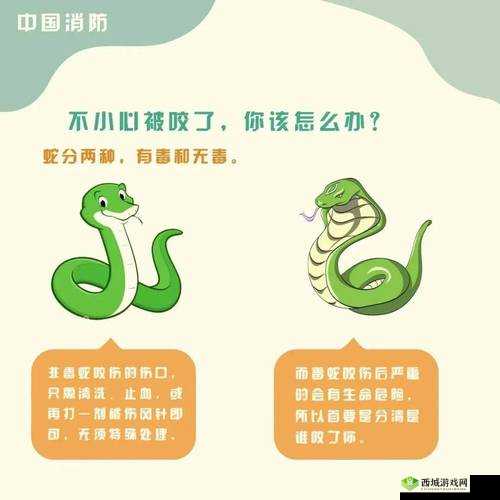蛇类的抗毒性，自然界的奇妙防御机制