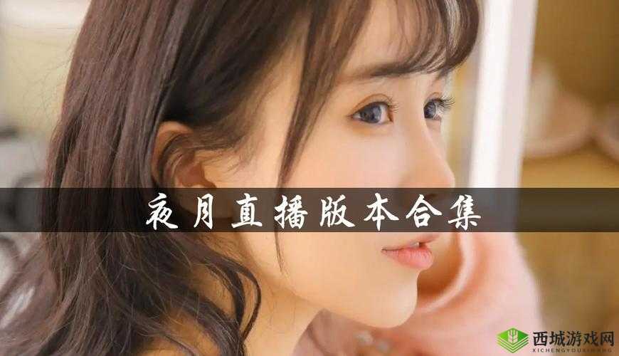 B站 直播夜月:带你领略精彩绝伦的直播盛宴