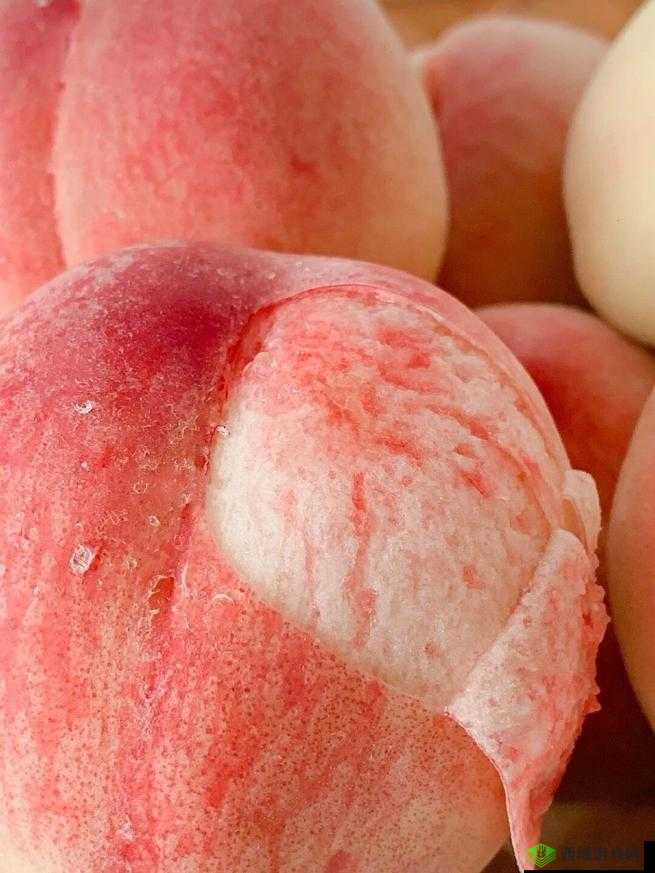 水蜜桃又大又甜,甜蜜滋味令人陶醉