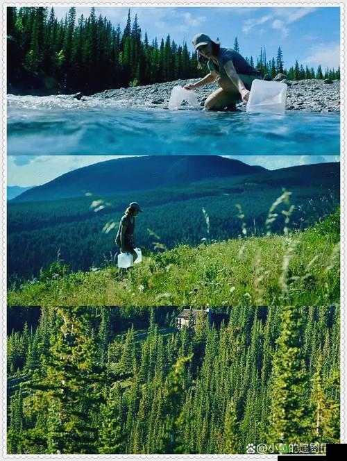 大地资源一中文在线观看官网:畅享海量优质影视资源