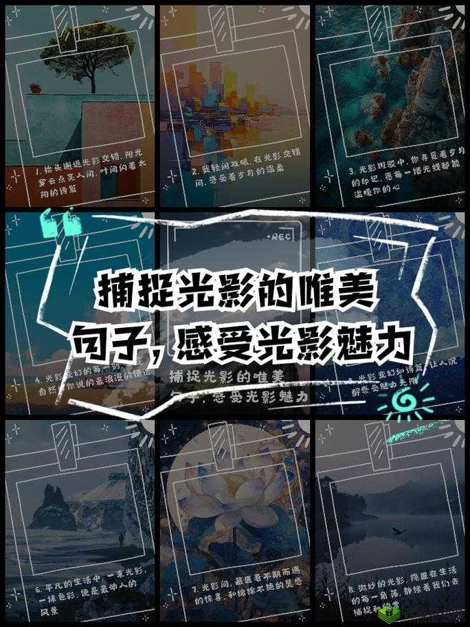 探秘小森生活中的透明摄影师,捕捉光影的梦幻之旅