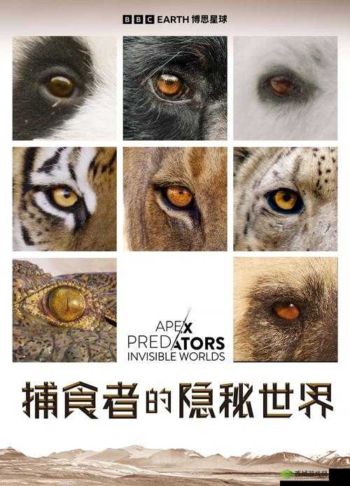 2014av 天堂网相关内容:探寻其背后的隐秘世界