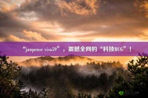 Janpense Visa 清高：独特视角下的别样解读