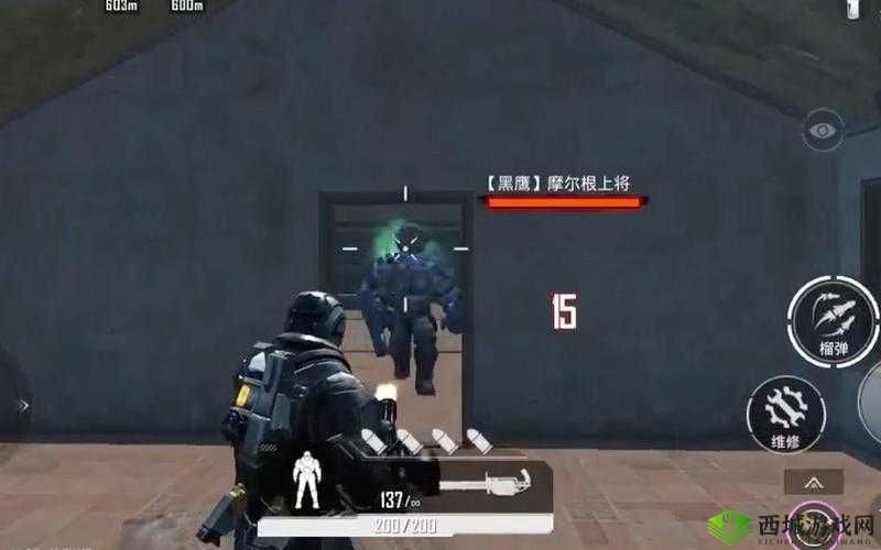 和平精英,战术竞技的巅峰与玉佩之谜