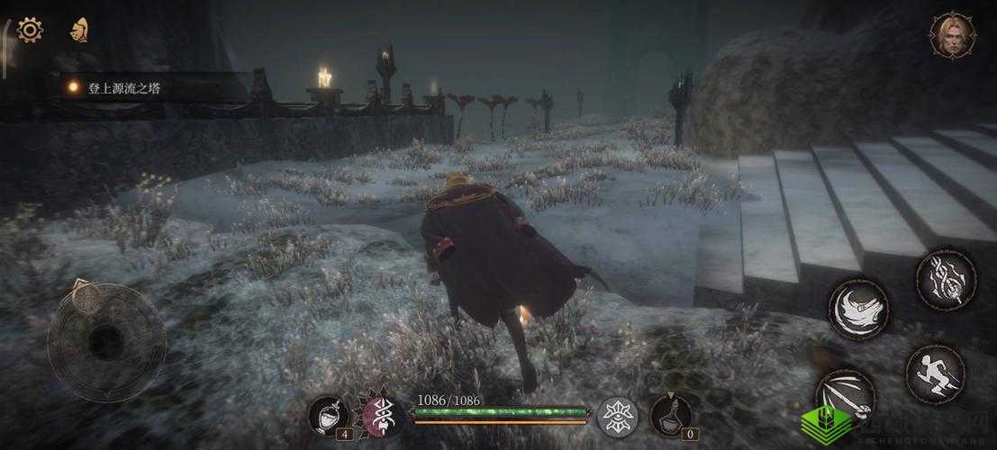 帕斯卡契约黑雾蘑菇介绍