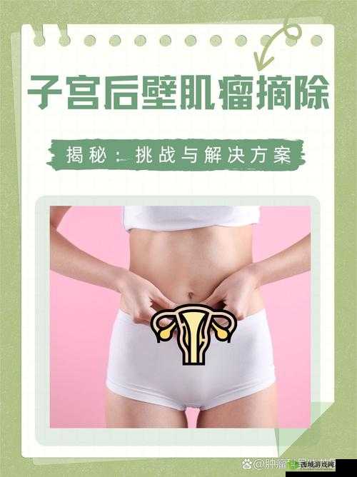 Z〇Z〇zO女人另类Z〇豆:关于其的深入探讨与分析