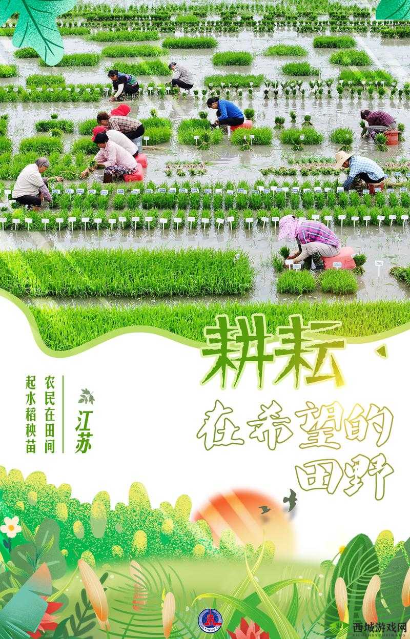 耕种姨妈肥沃的土地:开启辛勤劳作与希望收获的征程