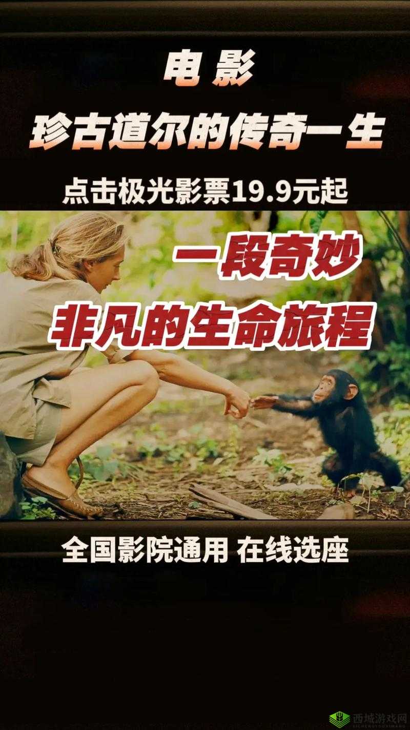 X99AV 噜噜:电影背后的故事与传奇