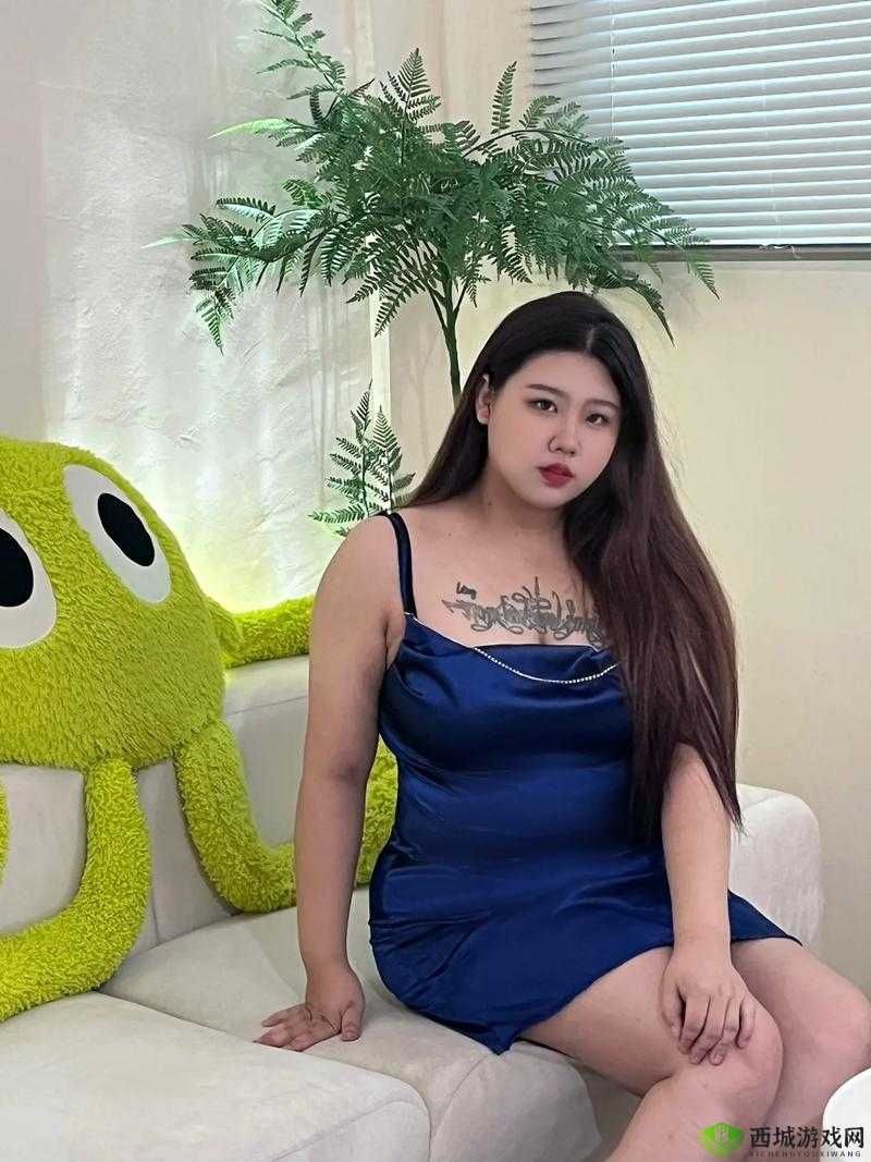 巨型女胖子的生活日常:女 BBwBBwBBWBBWD 的故事