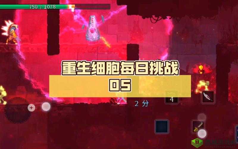 重生细胞,探索与挑战——揭秘藏骨堂