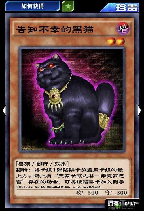 游戏王决斗链接单卡深度解析，告知不幸的黑猫