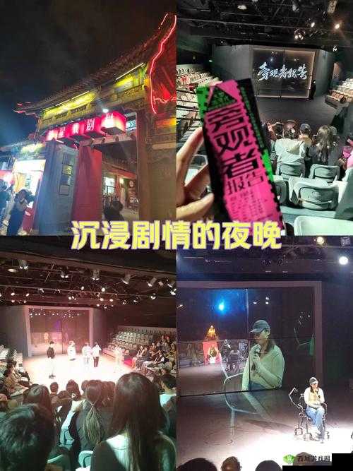 陆文婷大团圆全文免费阅读小说：一部令人沉浸其中的经典之作