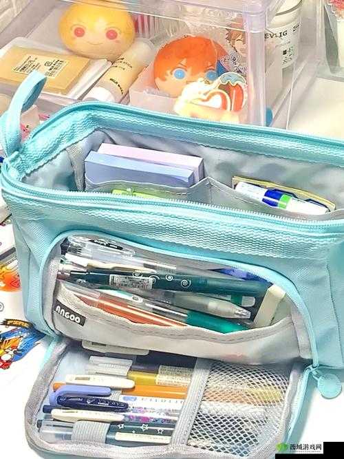 六年级 B 里能放几支笔？大容量笔袋推荐