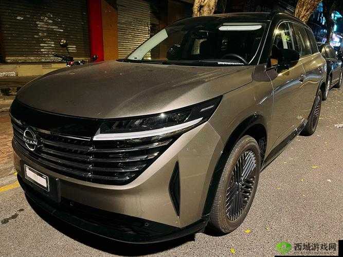 :探索欧产日产国产精品特色,领略不同国度的魅力