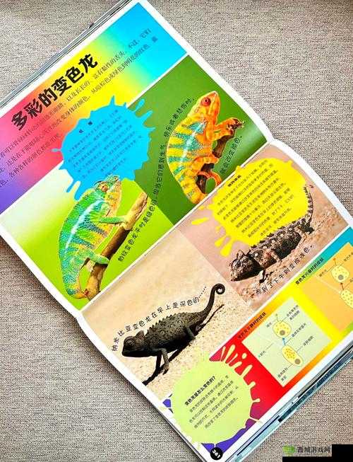 zooskool 相关内容:探索奇妙的动物世界之旅