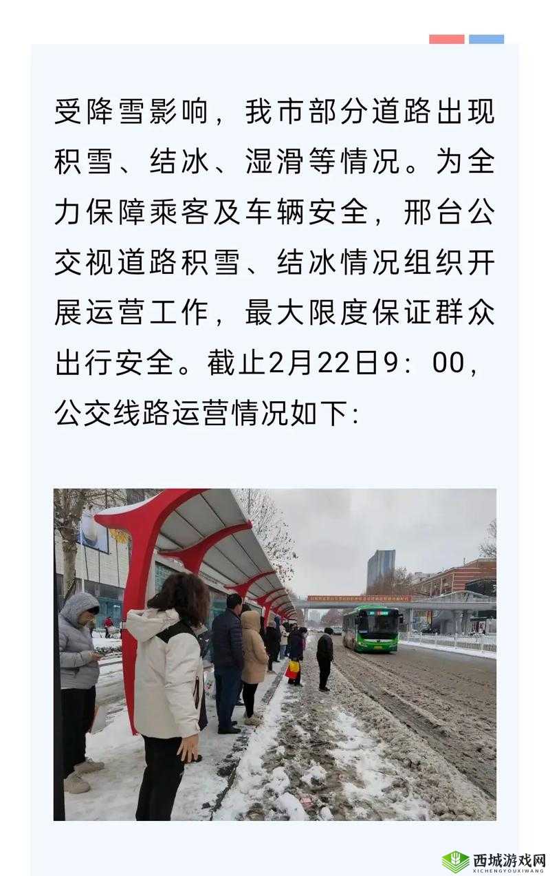 公交系列 2 张婷婷:一段引人入胜的公交之旅见闻