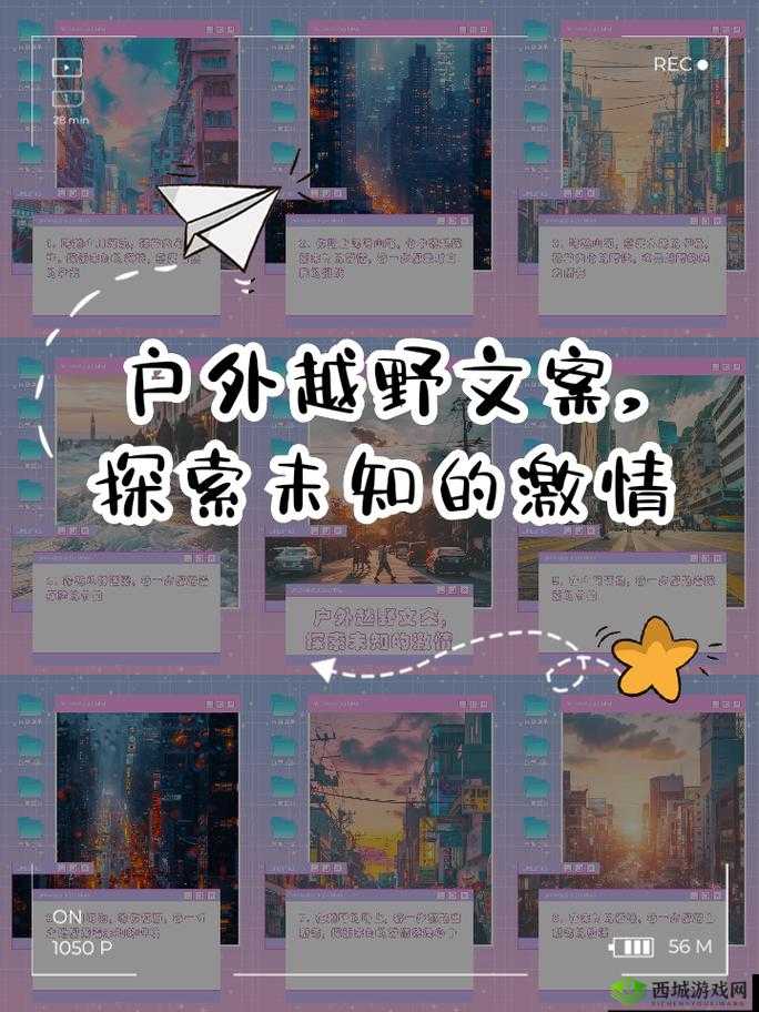 敌伦交换一区二区三区:探索未知的激情与挑战