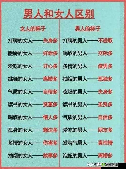男人女人之间的奇妙差异探讨:差差差的奥秘与解读
