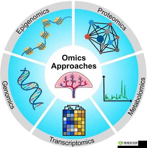 DNA 与 RNA 杂交视频：揭示生命遗传密码的微观之旅