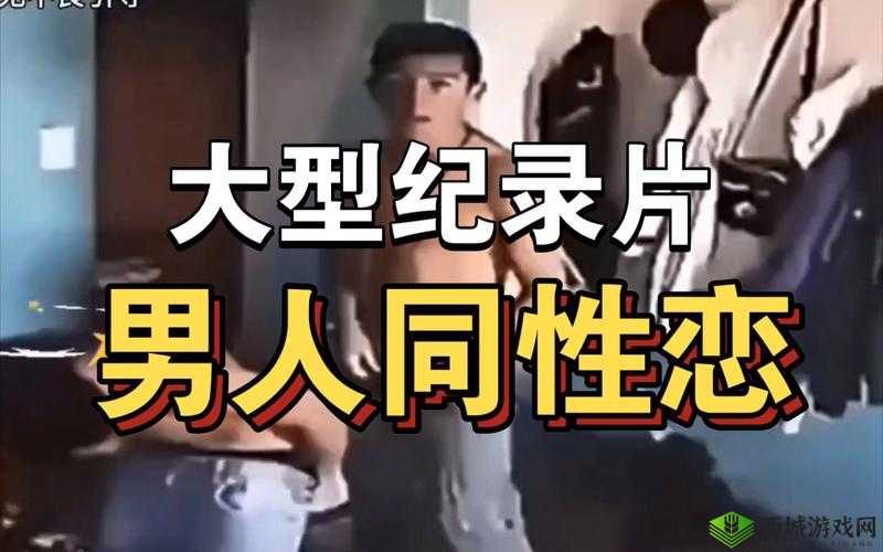 国产精彩男男 gay 视频：独特魅力展现同性之爱