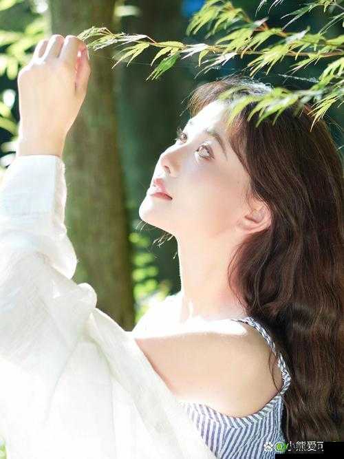 美女靠逼软件引发的争议与思考