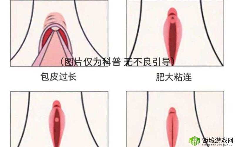 大荫蒂女人毛多且高潮时的独特魅力探讨