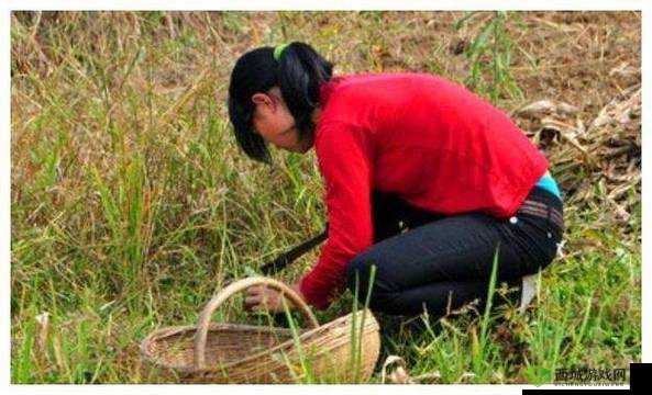 四川妇女 BBBWBBBwm 村妓：令人震惊的低俗现象