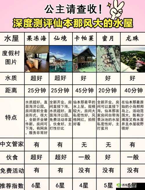 探索奇妙之 vibrator 带来的独特体验与感悟