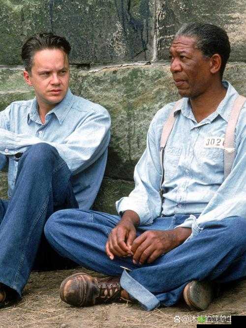 gogogo 高清完整版：一部令人震撼的精彩影片