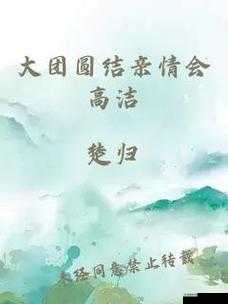 大团圆结 2 亲情会闪闪发光：温暖亲情铸就永恒的美好结局