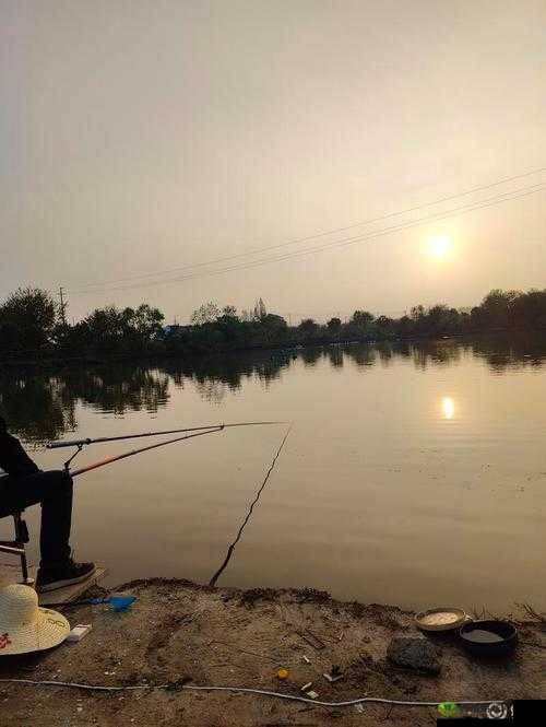 梦想新大陆，探索未知与垂钓之乐