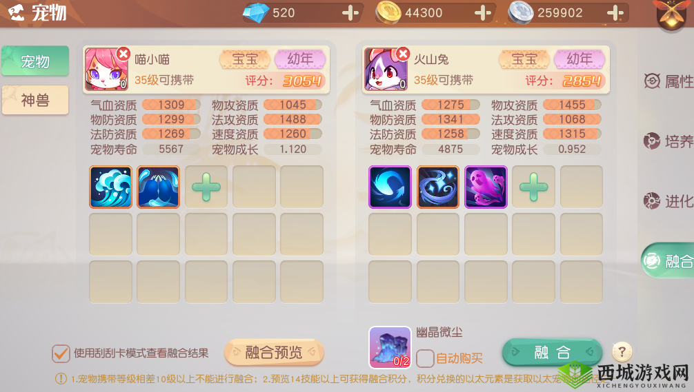 梦想新大陆宠物技能介绍，资源管理、高效利用与避免浪费