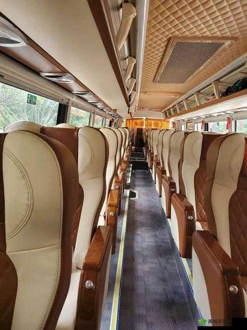 车内极致体验:爽 躁多水 快 深点车上的激情之旅