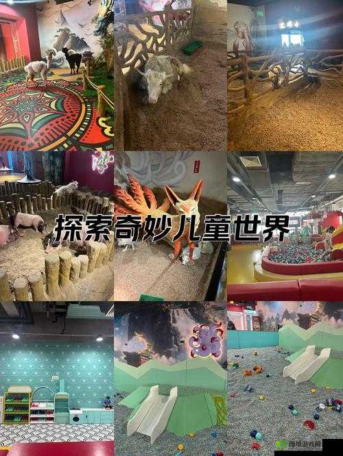 欧美又大又硬又粗 BBBBB：探索未知的奇妙世界