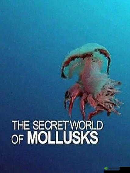 FrXXee 中国 XXee 麻豆片：探索未知的神秘世界