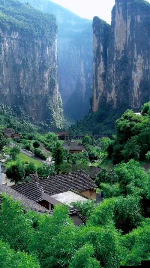 仙踪林性ⅩXXX性开放：探寻神秘的世外桃源