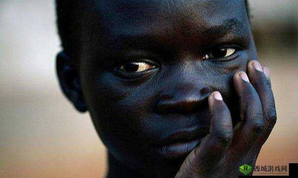 欧美黑人巨大：他们在历史与文化中所展现的独特魅力和影响力