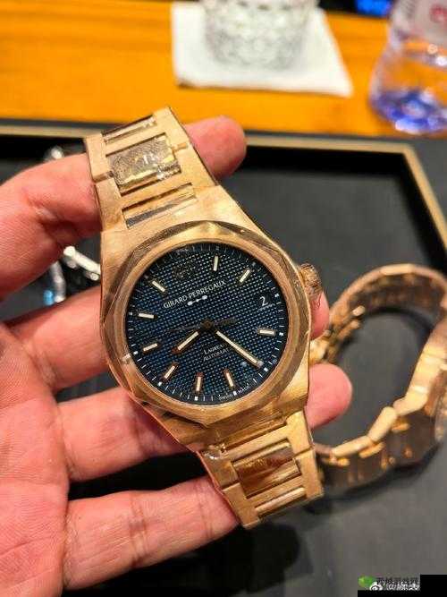 芝柏桂冠 08 年照片大全具体查看位置在哪