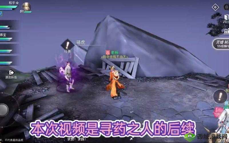 天谕寻药之人，一场充满反转的冒险之旅