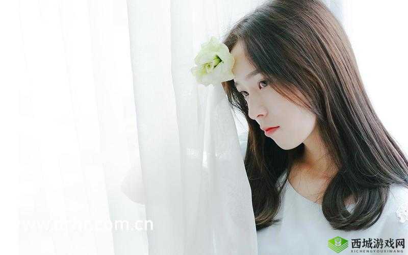 WindowsChannel 孕妇生产更新:后续情况与最新进展追踪报道