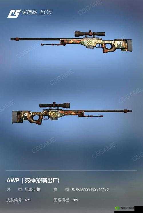 日本 CSGO 大姐姐 AWP 多少钱:价格背后的秘密与影响