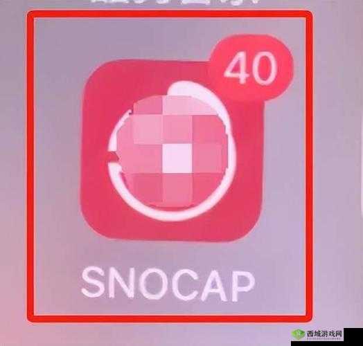 黄金网站软件 APP 粉色：引领潮流的创新应用平台