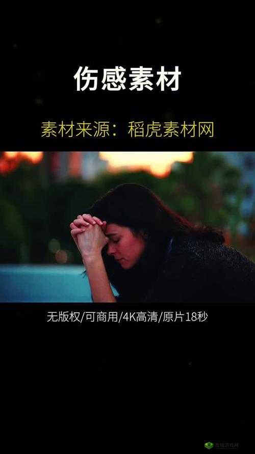 适合一个人在家看的视频素材有哪些:这些素材超适合独自观看