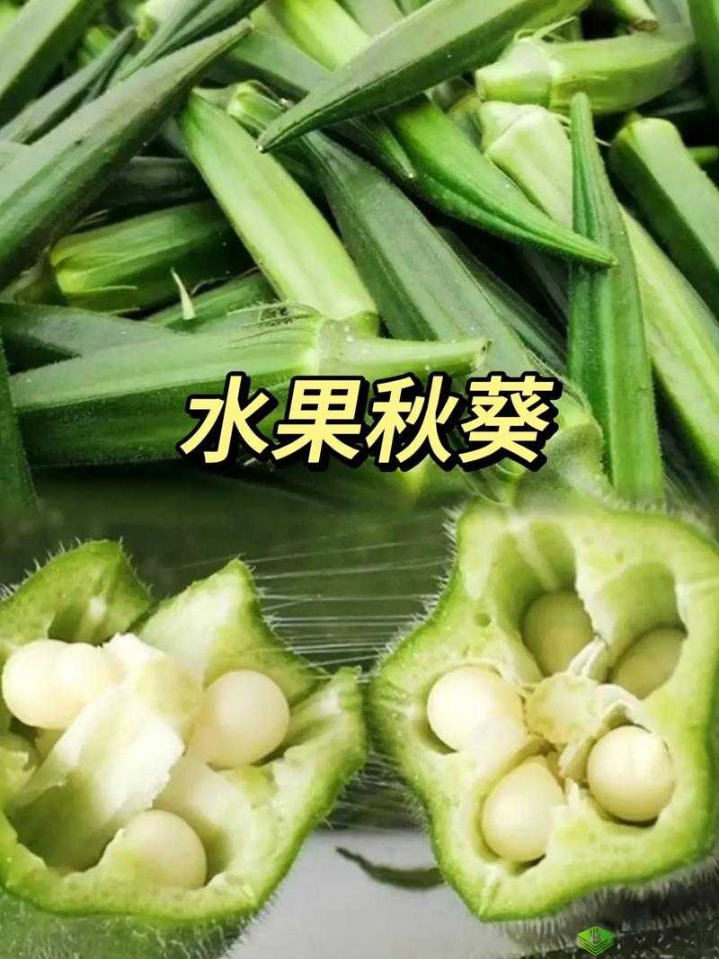 水果乐园:草莓香蕉丝瓜秋葵榴莲大揭秘